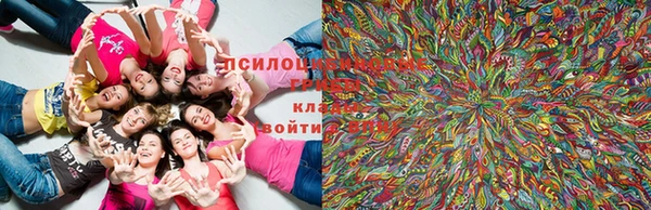 меф Бронницы